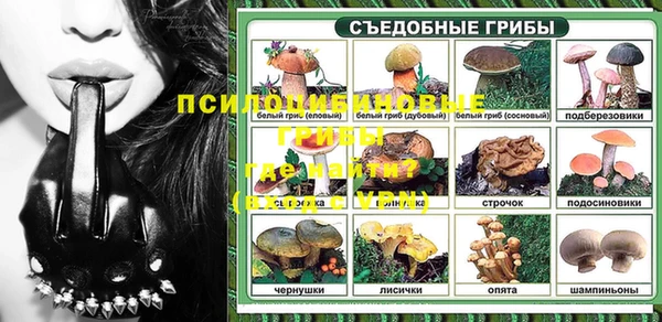 сатива Верхнеуральск