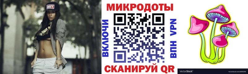 Псилоцибиновые грибы прущие грибы  Питкяранта 
